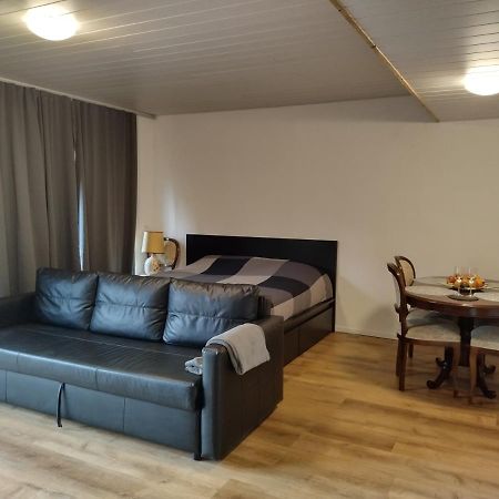 Spacieux Studio 38M2 Les Paccots Eksteriør bilde