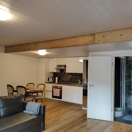 Spacieux Studio 38M2 Les Paccots Eksteriør bilde