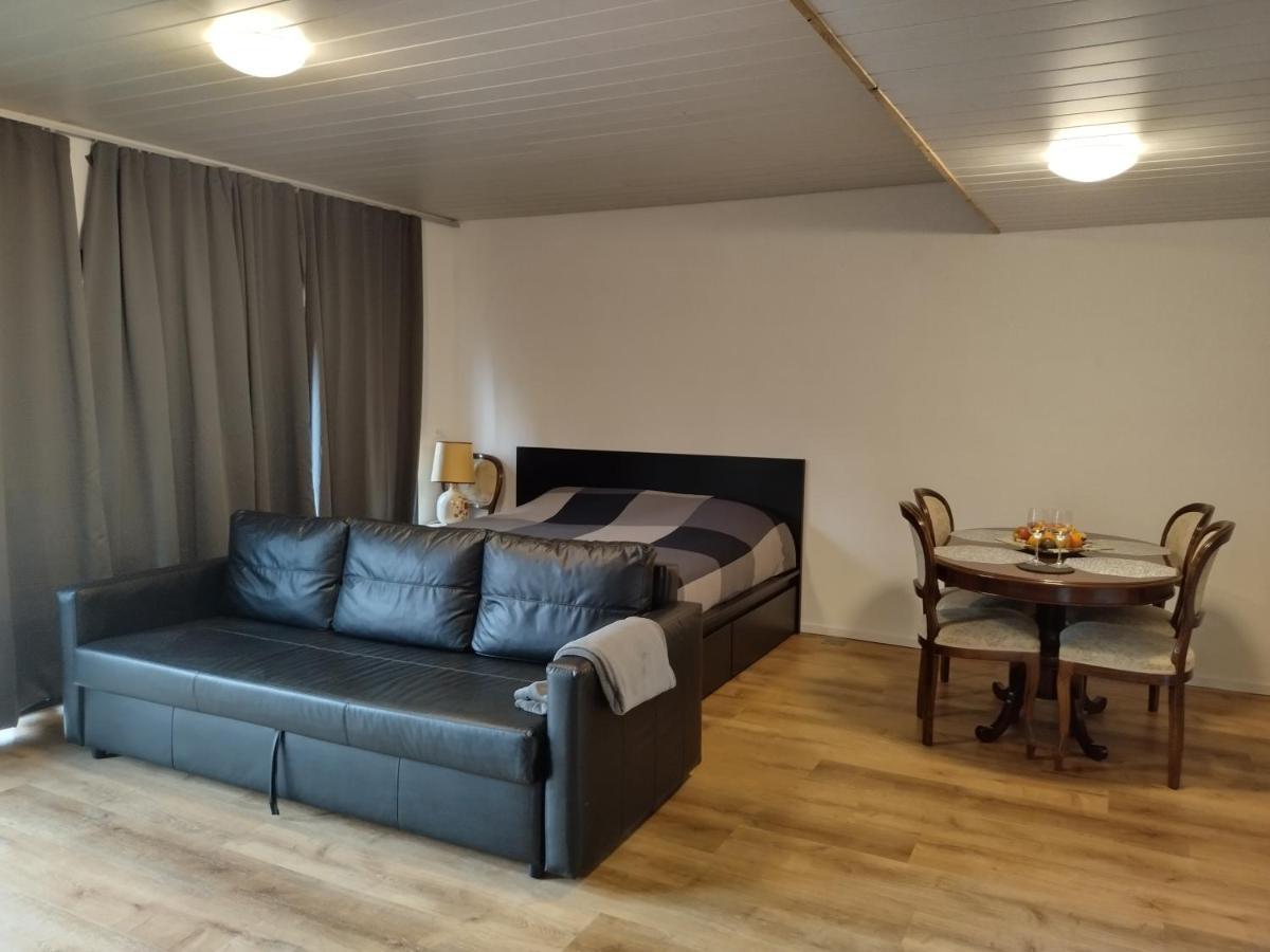 Spacieux Studio 38M2 Les Paccots Eksteriør bilde