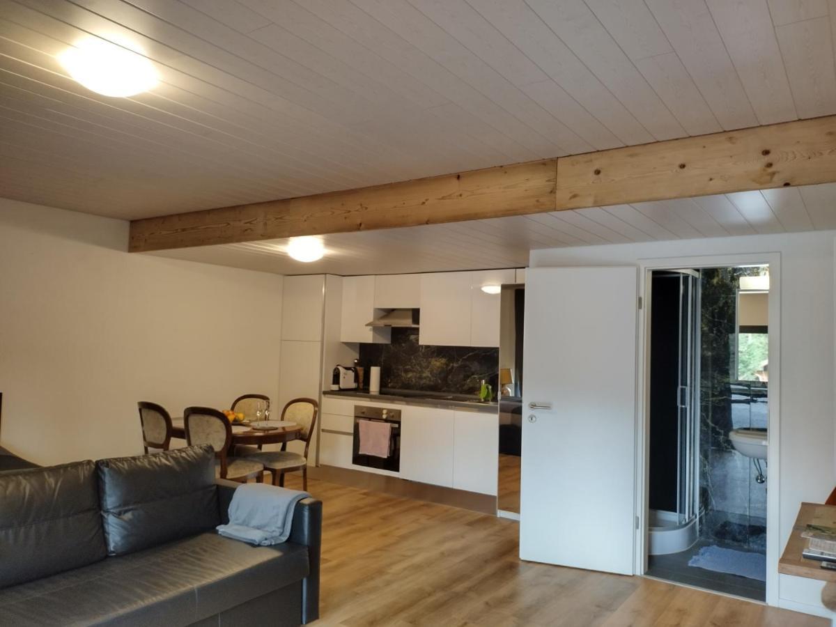 Spacieux Studio 38M2 Les Paccots Eksteriør bilde